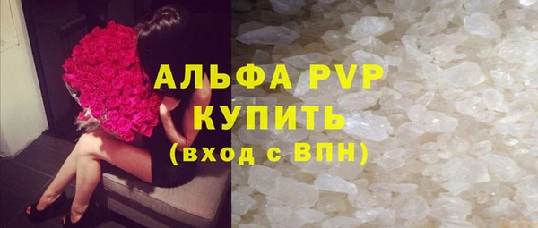 a pvp Пересвет