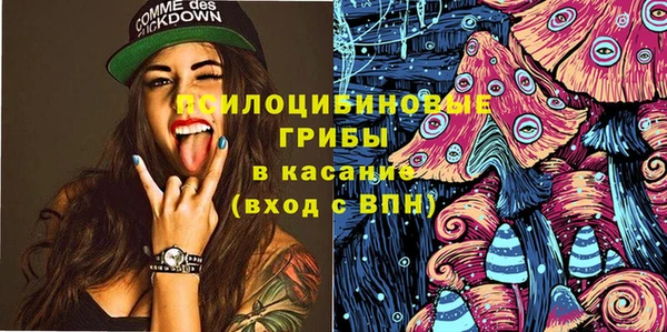 прущая мука Богородск