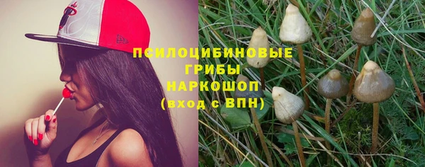 spice Богданович