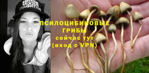 прущая мука Богородск