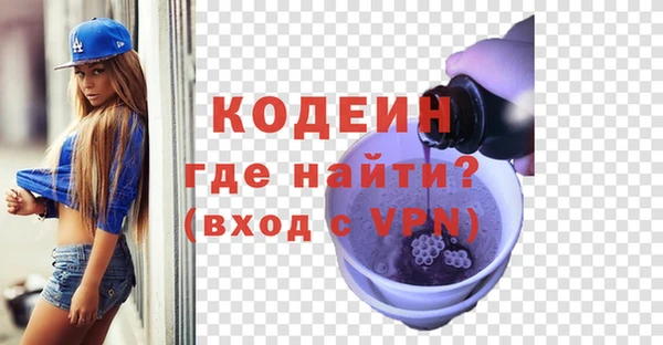 spice Богданович